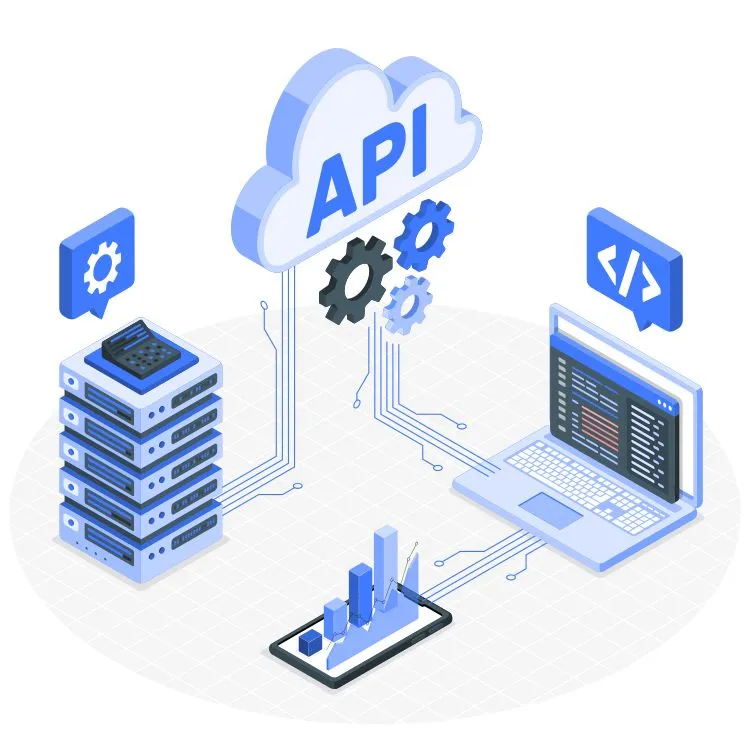 Custom software dashboard illustration